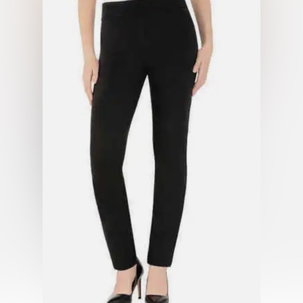 NEW Dalia textured pull on pants with built in tummy control.  Size 20W
